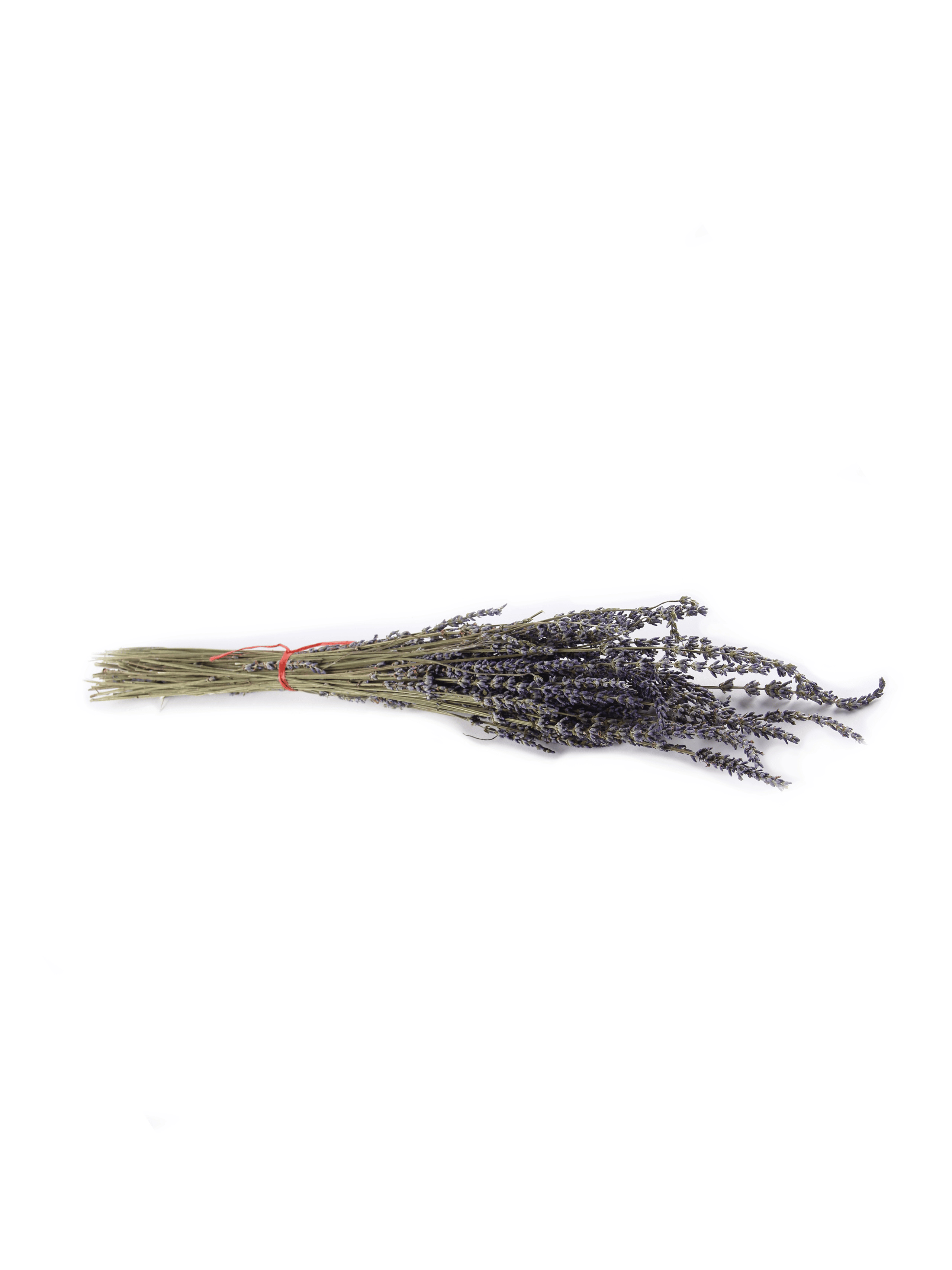 Dried Lavender Flowers – 1 KG – IAG Foods – Pantry Essential From Germany