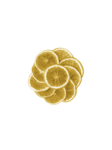 Dehydrated Lemon Slices