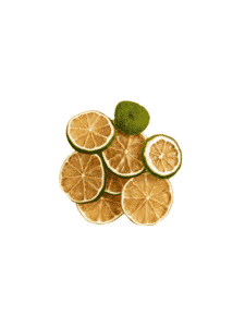 Dehydrated Lime Slices