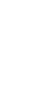 gin bottle illustration-white