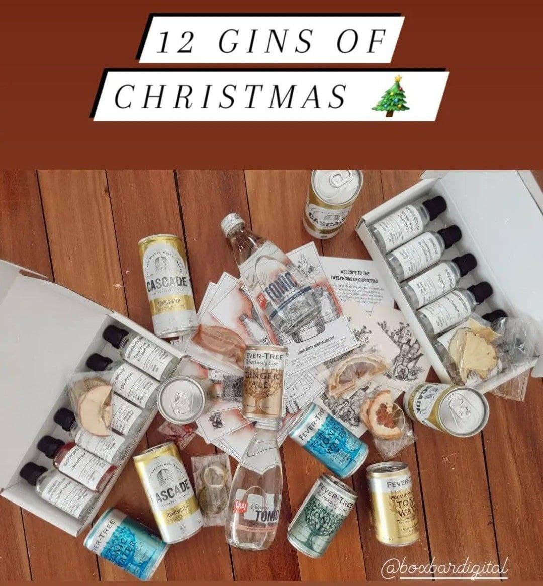 Twelve Gins Photo Twelve Gins Photo