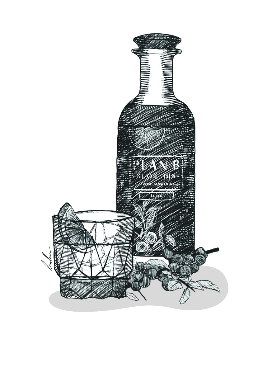plan b sloe