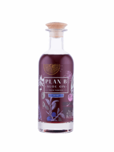 Plan B Distillery Sloe Gin