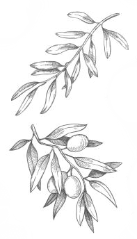 olives