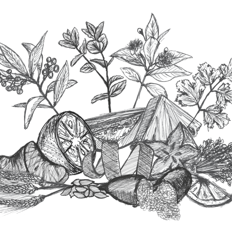 12gins-garnishes