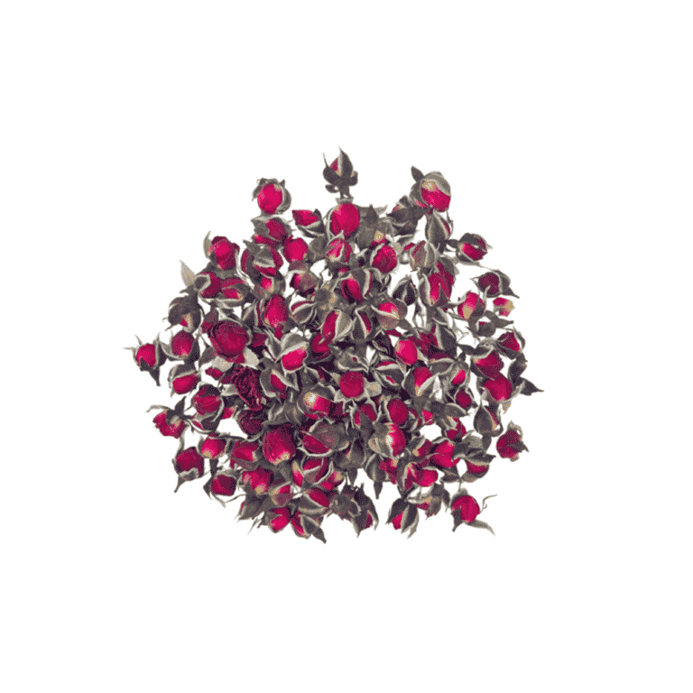 rosebuds--2